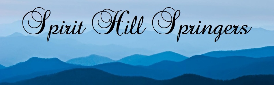 spirithillspringers.com